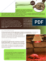 6 Fiche Nac Tortue Terrestre