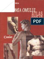 Anatomia omului