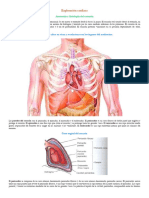 Apuntes Sobre Semiología Cardiaca