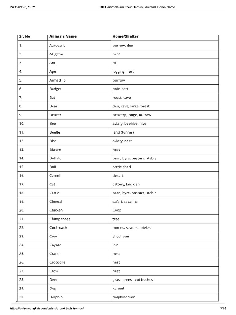animal-homes-analogy-pdf