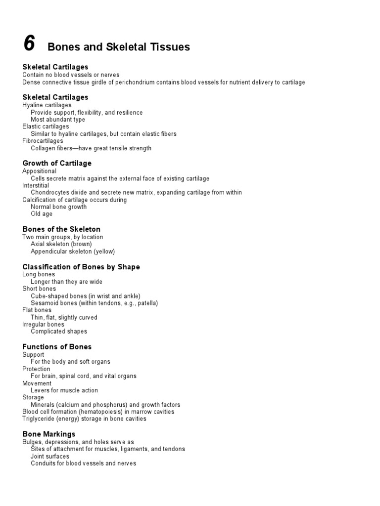 Bones and Skeletal Tissues Overview | PDF | Bone | Osteoblast
