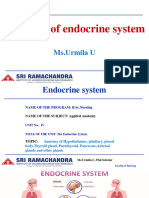 Anatomy of Endocrine System SRIHER