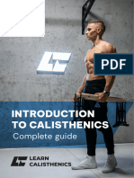Introduction To Calisthenics by Darek Wos