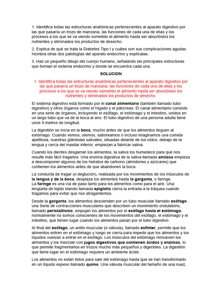 Actividad 3 Tercer Modulo Pdf