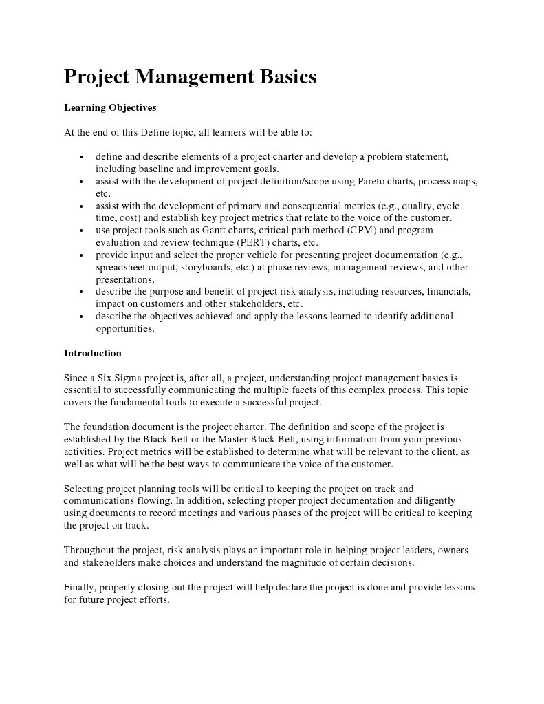 2 - 2 Define Project Management Basics | PDF | Risk Management ...