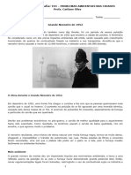 TD3 Problemas Ambientais Das Cidades PDF