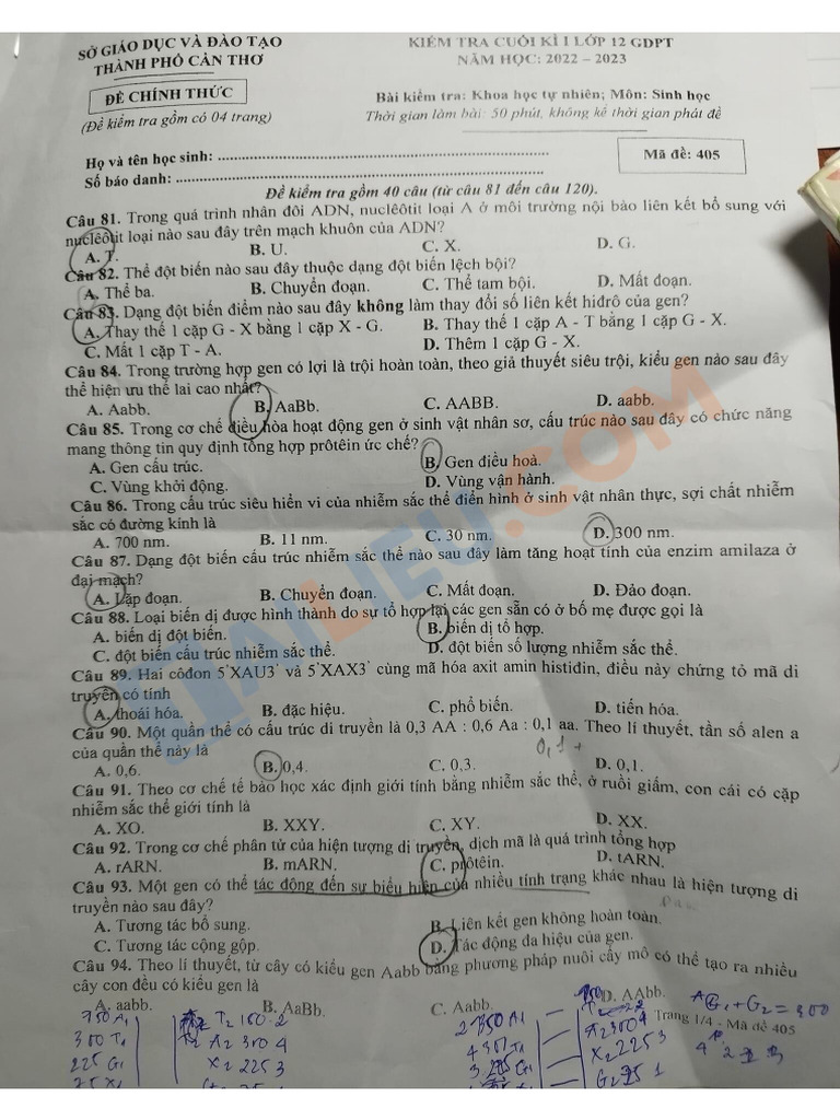 2022123016062063aeaa0cb6c75 - de Thi Hoc Ki 1 Lop 12 Mon Sinh Nam 2022 ...