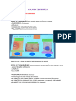 Aulas de Obstetrícia