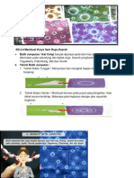 MODUL UJIAN AKhIR - SBDP 5