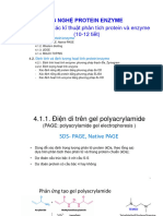 Chương 4 - Các Phương Pháp Phân Tích Protein Enzyme-2023