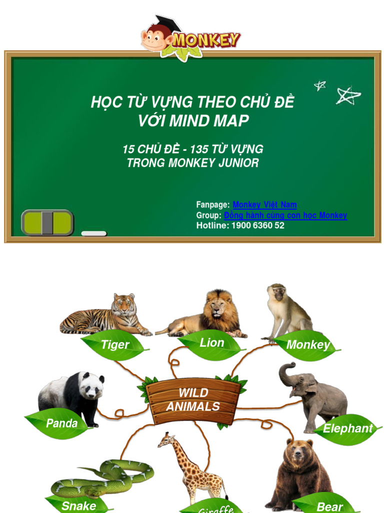 Monkey mindmap animal pdf