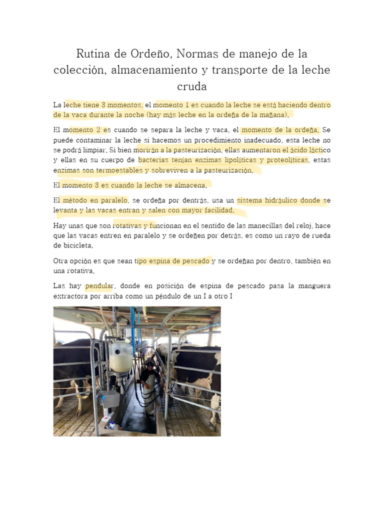 Guía de Ordeño y Manejo de Leche | PDF | Leche | Vacas