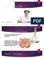 Afecciones Vulvares y Vaginales - PPTX Licda Gonzalez