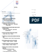 Examen Bimestral de Educacion Fisica Musculos