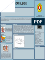 Poster Mineral Hornblende - Roy