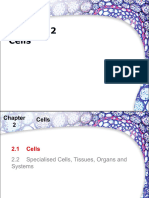 Chapter 2 Cells 2
