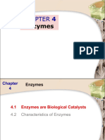 Chapter 4 Emzymes 2