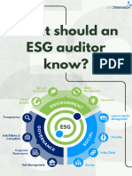 What Should An ESG Auditor Know?