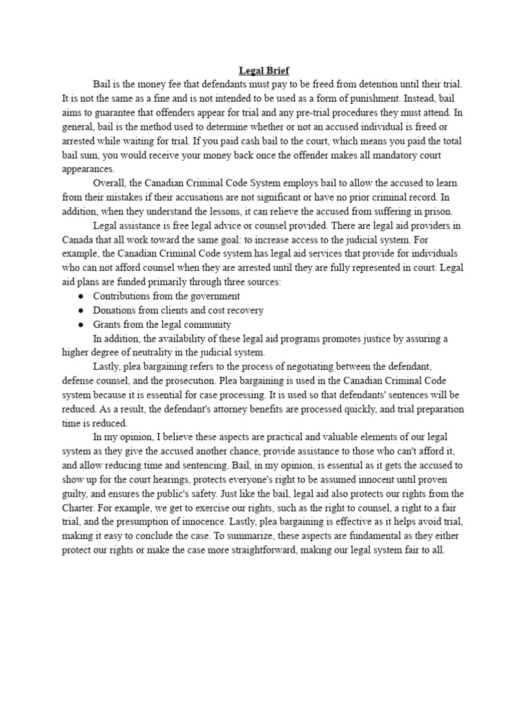Legal Brief PDF Bail Legal Aid