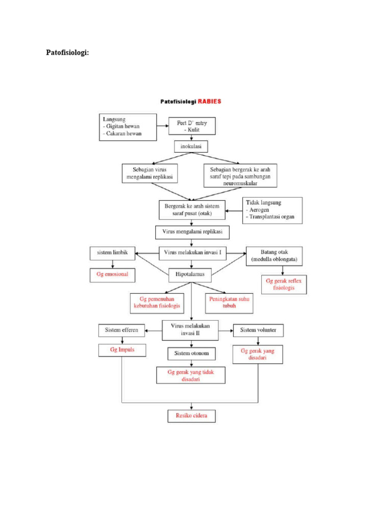 Patofisiologi Rabies | PDF | Pengembangan Diri