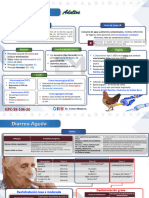Diarrea Aguda en Adultos