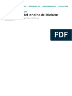 Lacerazioni Del Tendine Del Bicipite - Lesioni e Avvelenamento - Manuale MSD, Versione Per I Pazienti
