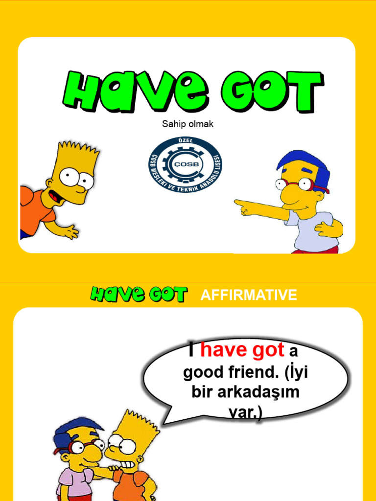 Have Got Has Got | PDF