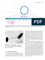 Prescott's Microbiology Bacterial Recombination