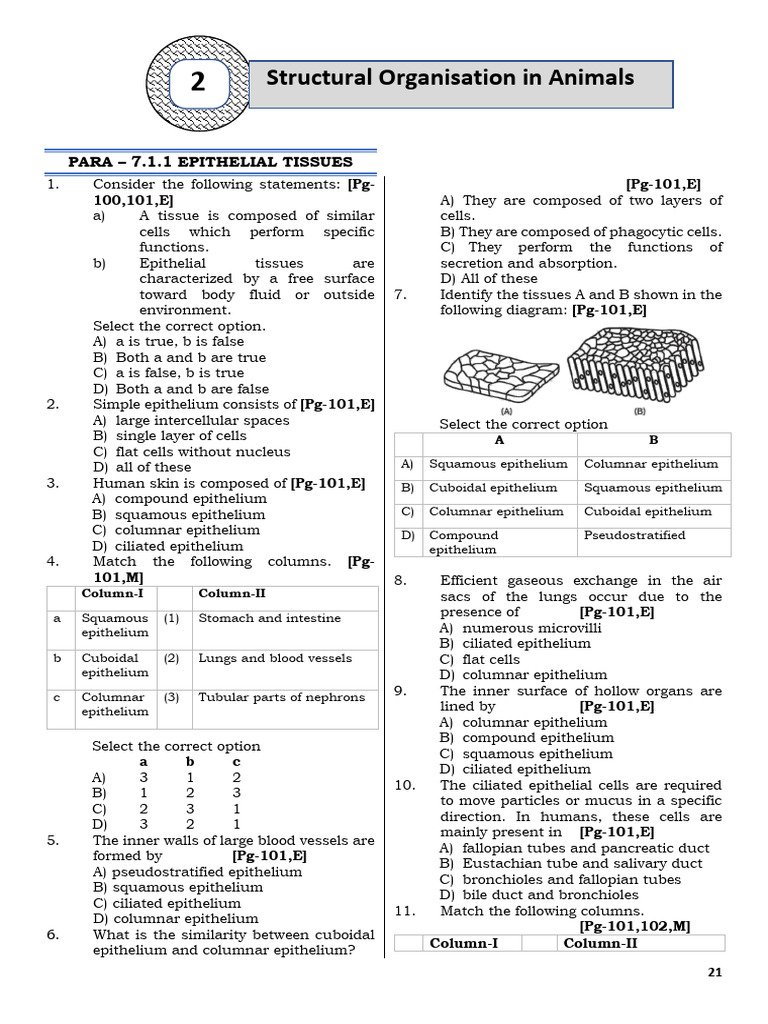Structural Organisation in Animals NCERT Line by Line | PDF ...