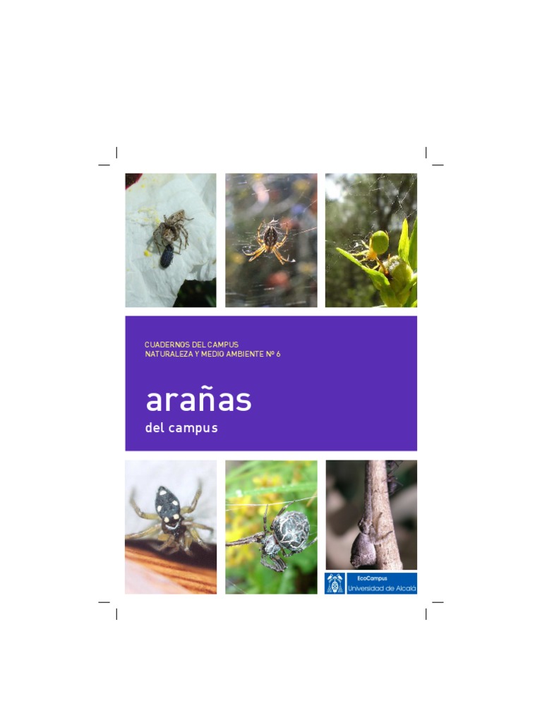 Libro de Las Arañas. | Descargar gratis PDF | Araña | Insectos
