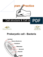Cell Diagrams With Parts - Practice - 1