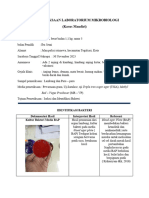 Laporan Pemeriksaan Laboratorium Mikrobiologi