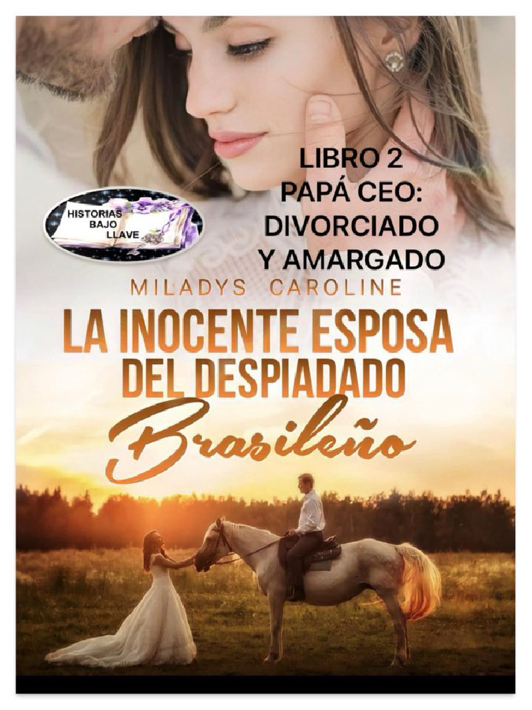 LIBRO 2papá Ceo Divorciado y Amargado? Miladys PDF