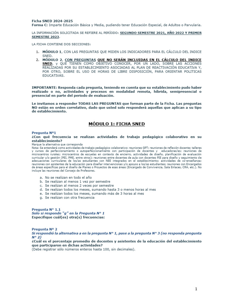 Ficha SNED 2024-2025: Educación Básica y Media | PDF | Evaluación ...