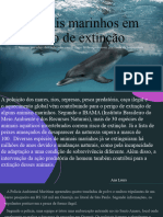 Animais Marinhos em Risco de Extinção