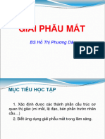 Giai Phau Mat