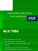 Chan Doan Do Mat