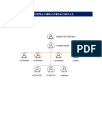 Descripcion de Cargos y Esquema Organizacional