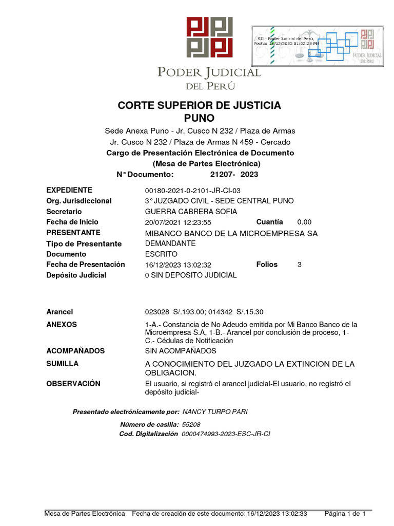 Conclusion de Proceso | PDF