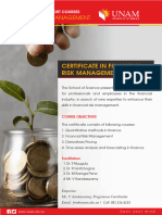 FRM Financial Risk Management Brochure