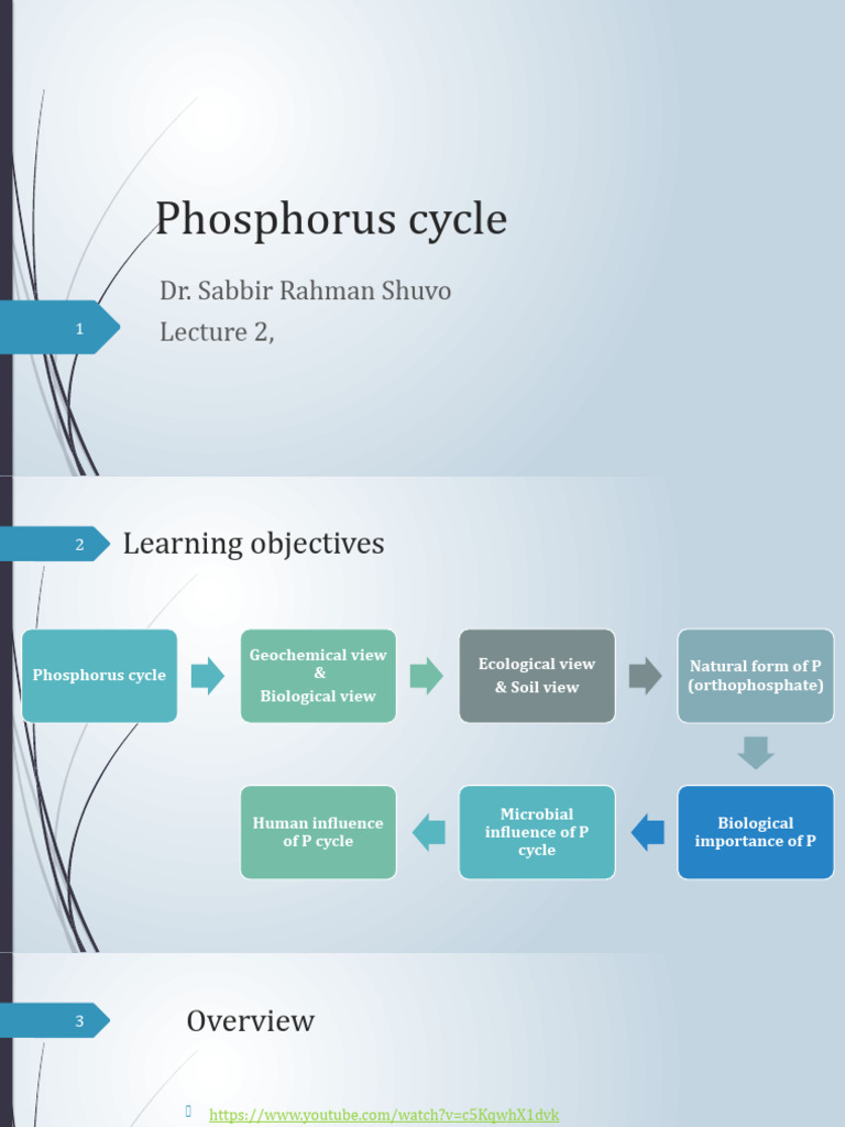 Understanding the Phosphorus Cycle | PDF | Soil | Phosphorus