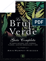 A Bruxa Verde PDF