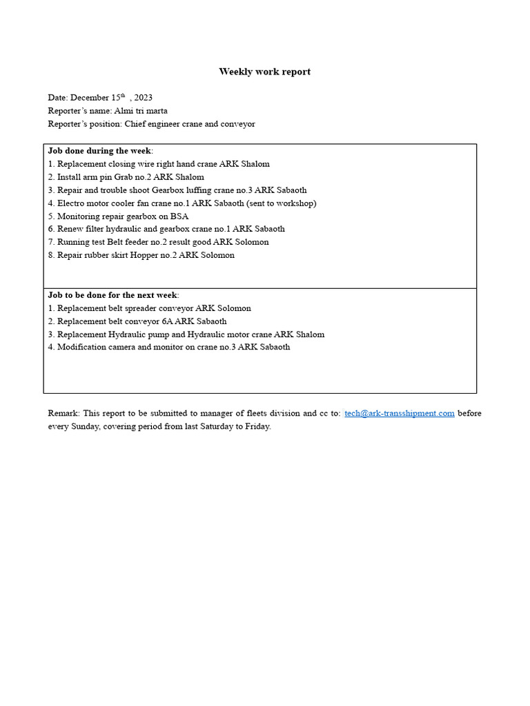 Weekly work report pdf
