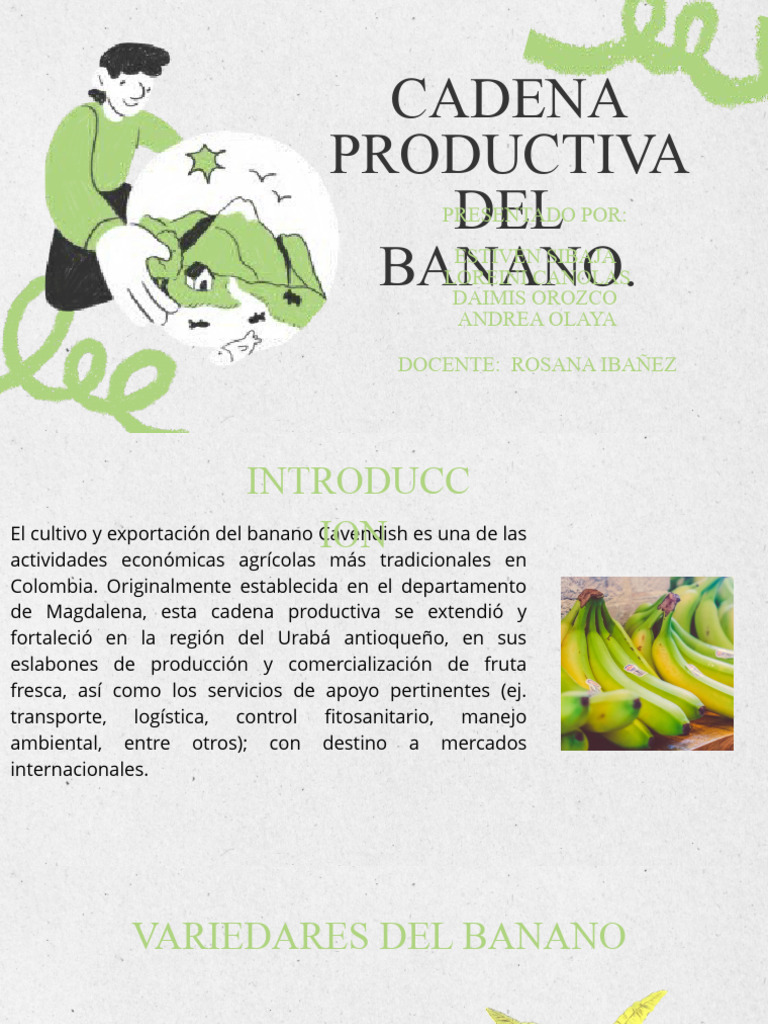 Cadena Productiva Del Banano Pdf Agricultura Residuos