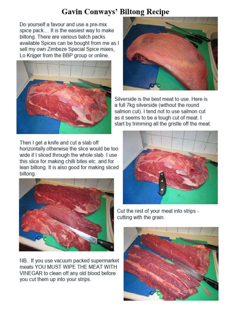 Biltong intelligence overview