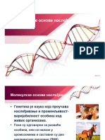 1.Генетика човека-Молекуларне основе наслеђивања