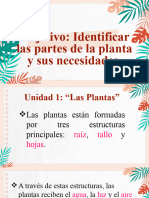 Las Plantas