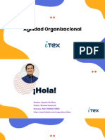 Agilidad Organizacional