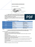 Preguntas de Desarrollo