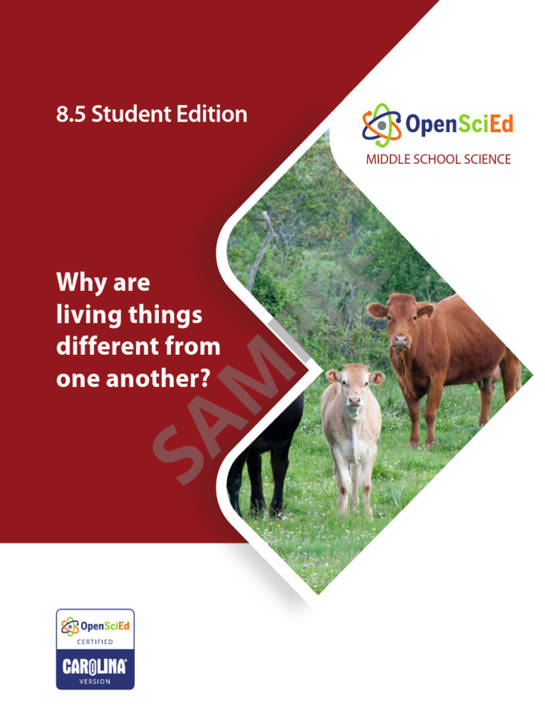 Genetics - Student Sample | PDF | Actin | Skeletal Muscle